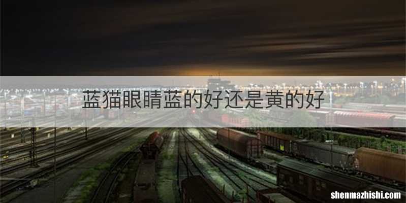 蓝猫眼睛蓝的好还是黄的好