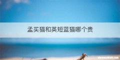 孟买猫和英短蓝猫哪个贵