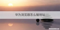 华为浏览器怎么输地址