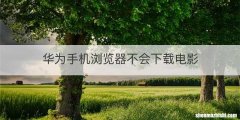 华为手机浏览器不会下载电影