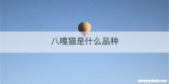 八嘎猫是什么品种