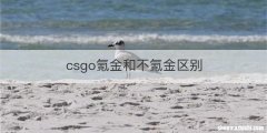 csgo氪金和不氪金区别