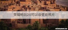 荣耀畅玩20可以设壁纸照片