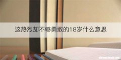 这热烈却不够勇敢的18岁什么意思