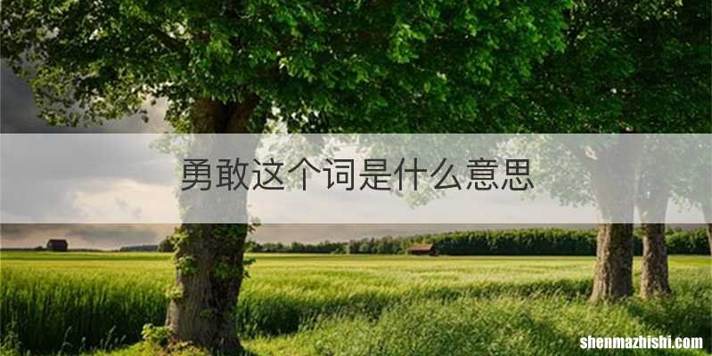 勇敢这个词是什么意思