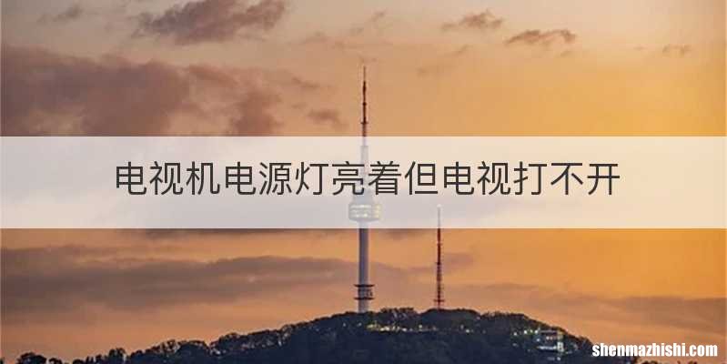 电视机电源灯亮着但电视打不开
