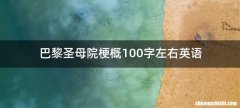 巴黎圣母院梗概100字左右英语