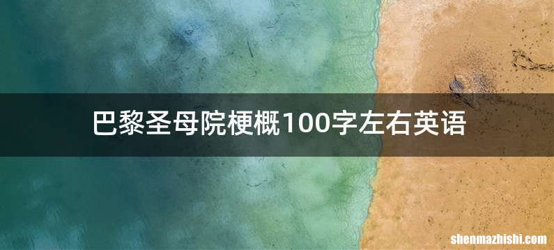 巴黎圣母院梗概100字左右英语