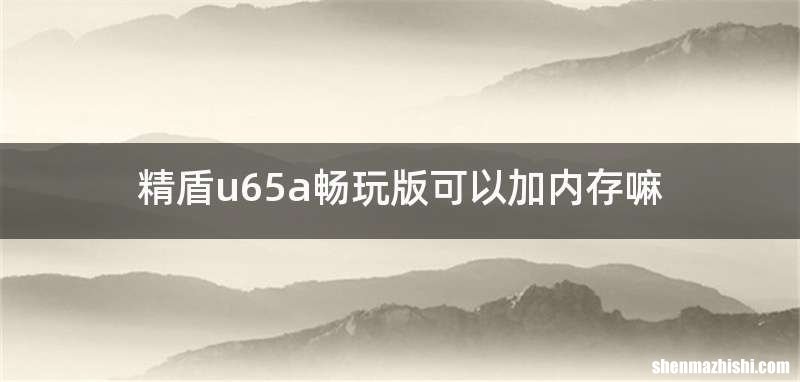 精盾u65a畅玩版可以加内存嘛