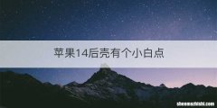 苹果14后壳有个小白点