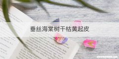 垂丝海棠树干枯黄起皮