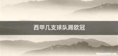 西甲几支球队踢欧冠
