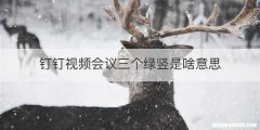 钉钉视频会议三个绿竖是啥意思
