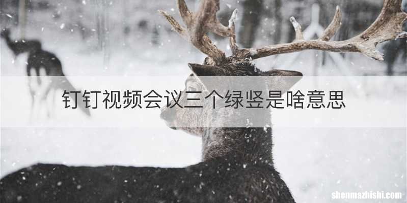 钉钉视频会议三个绿竖是啥意思
