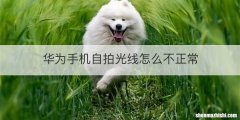 华为手机自拍光线怎么不正常