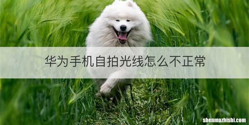 华为手机自拍光线怎么不正常