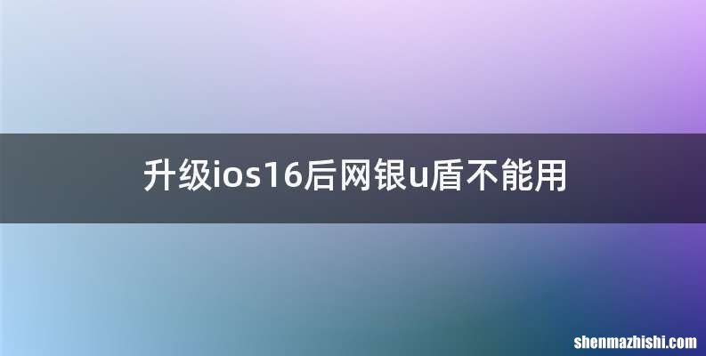 升级ios16后网银u盾不能用