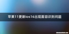 苹果11更新ios16出现面容识别问题