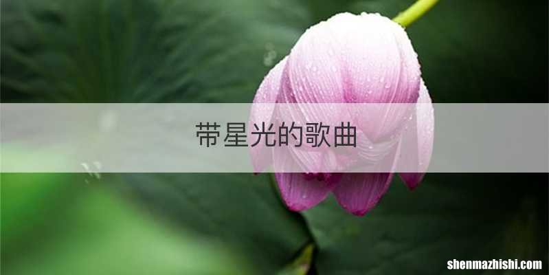 带星光的歌曲