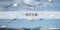 一碗茶多重