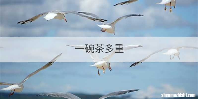 一碗茶多重