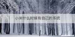 小米什么时候有自己的系统