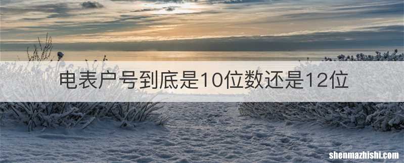 电表户号到底是10位数还是12位