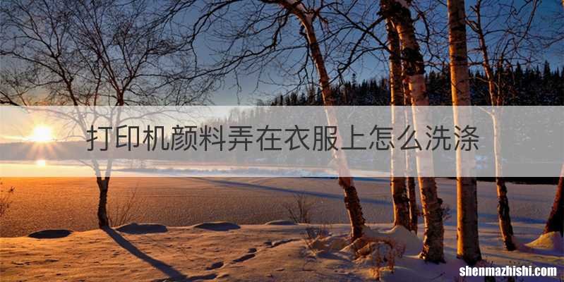 打印机颜料弄在衣服上怎么洗涤
