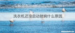 洗衣机还没启动就响什么原因
