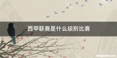 西甲联赛是什么级别比赛