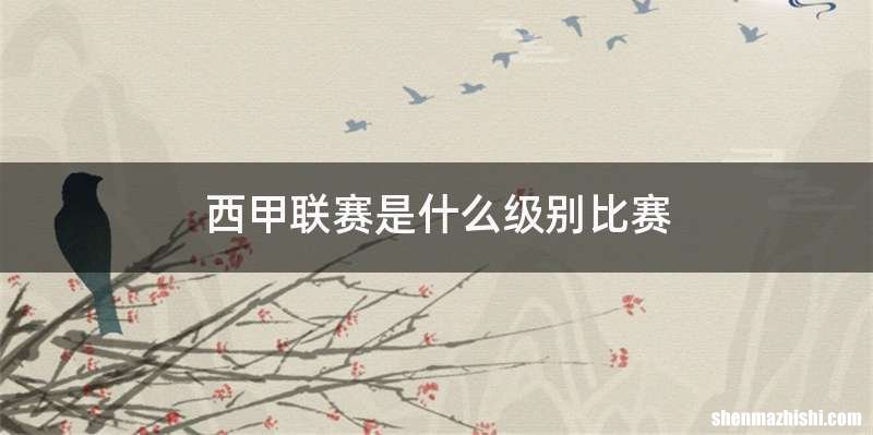 西甲联赛是什么级别比赛