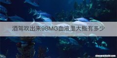 酒驾吹出来98MG血液里大概有多少