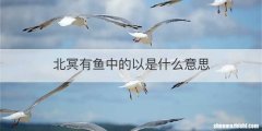 北冥有鱼中的以是什么意思