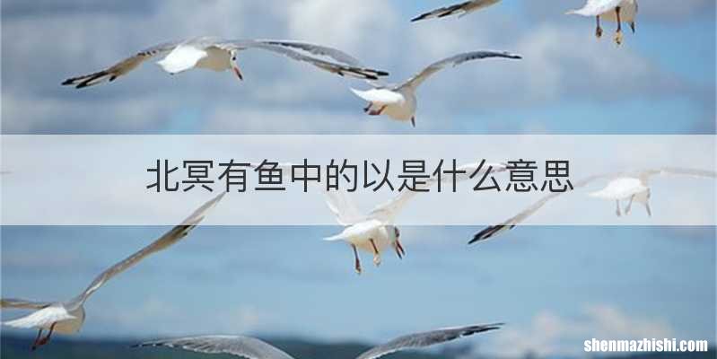 北冥有鱼中的以是什么意思