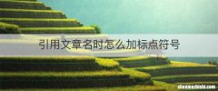 引用文章名时怎么加标点符号