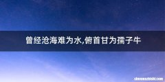 曾经沧海难为水,俯首甘为孺子牛
