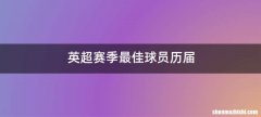 英超赛季最佳球员历届