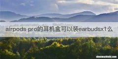 airpods pro的耳机盒可以装earbudsx1么