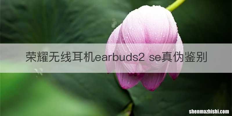 荣耀无线耳机earbuds2 se真伪鉴别