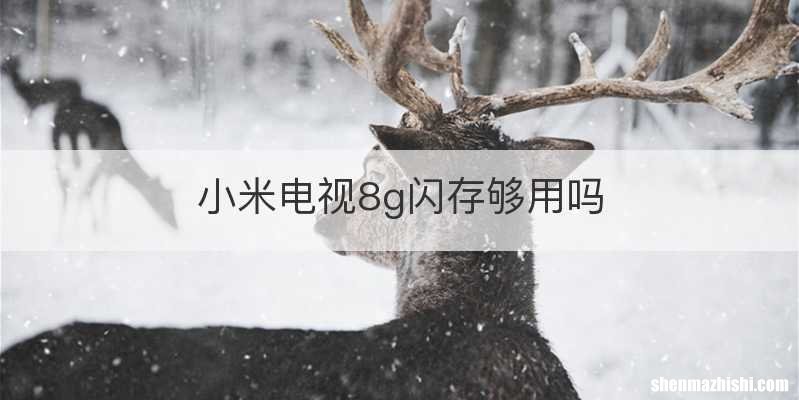 小米电视8g闪存够用吗