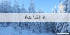 赛亚人是什么