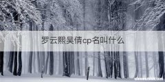 罗云熙吴倩cp名叫什么
