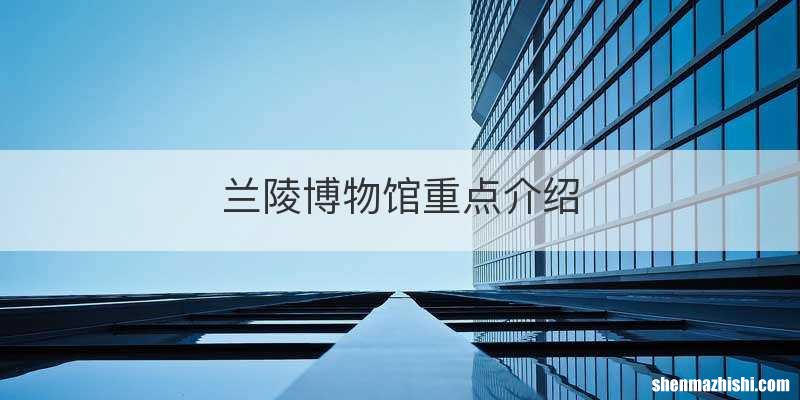 兰陵博物馆重点介绍