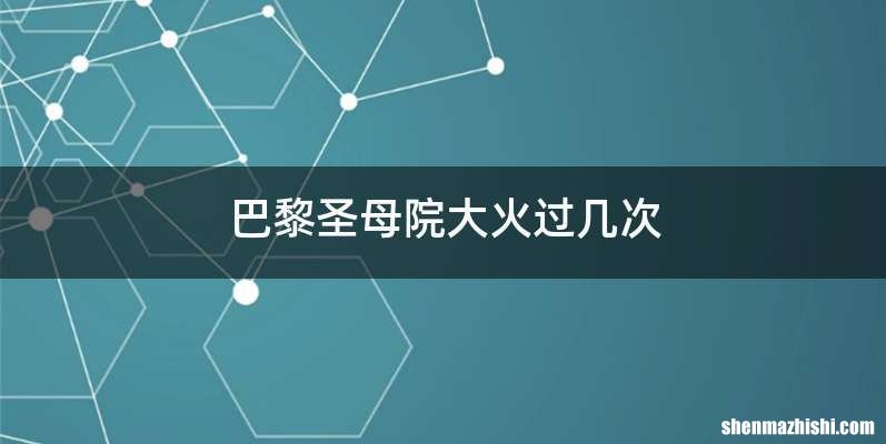 巴黎圣母院大火过几次