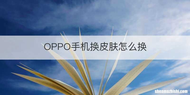 OPPO手机换皮肤怎么换