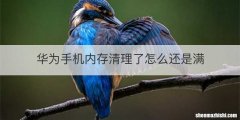 华为手机内存清理了怎么还是满