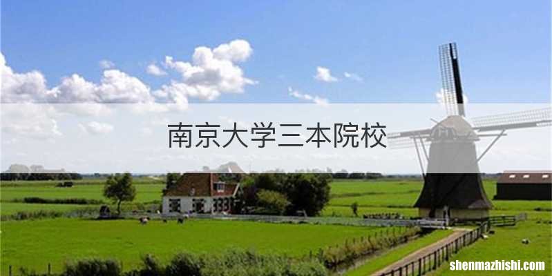 南京大学三本院校