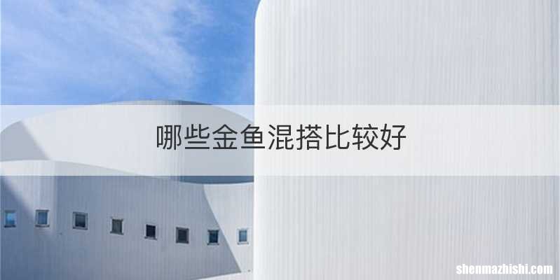 哪些金鱼混搭比较好