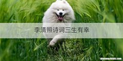 李清照诗词三生有幸