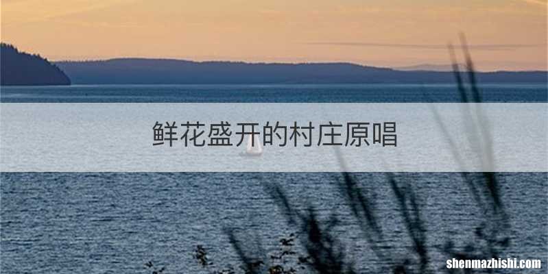 鲜花盛开的村庄原唱